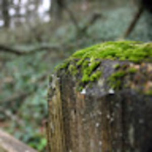 Meet your Posher, Jack gabriel